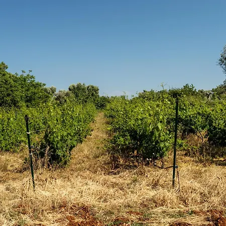 La Vigna Bed & Breakfast Carovigno